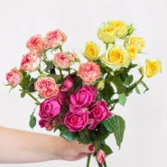 Роза кустовая микс