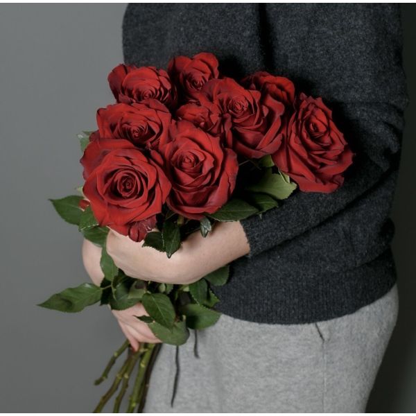 Роза «Эксплорер» - 70см