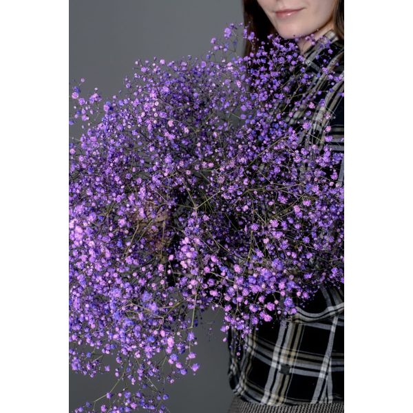 Гипсофила крашенная -60см