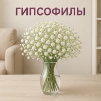 Гипсофила — цветочный шепот нежности