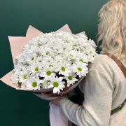 Букет из 15 кустовых хризантем сорт «Чик»